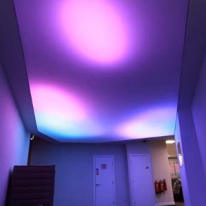 Натяжной потолок с подсветкой в зале (10)