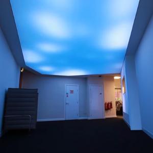 Натяжной потолок с подсветкой в зале (14)
