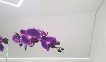 Потолок с фотопечатью в зал цветы 16 м²