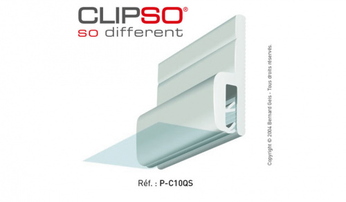 Профиль CLIPSO: P-C10QS